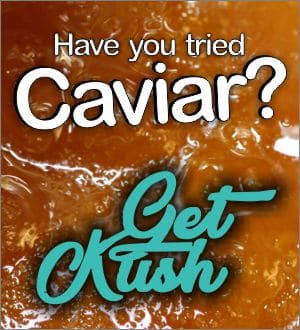Cavier-High-Terpene-Full-Spectrum-Extract-Get-Kush