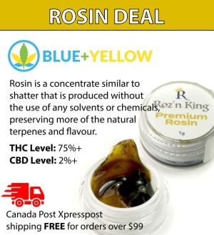 Blue+Yellow - mail order dispensary rosin deal
