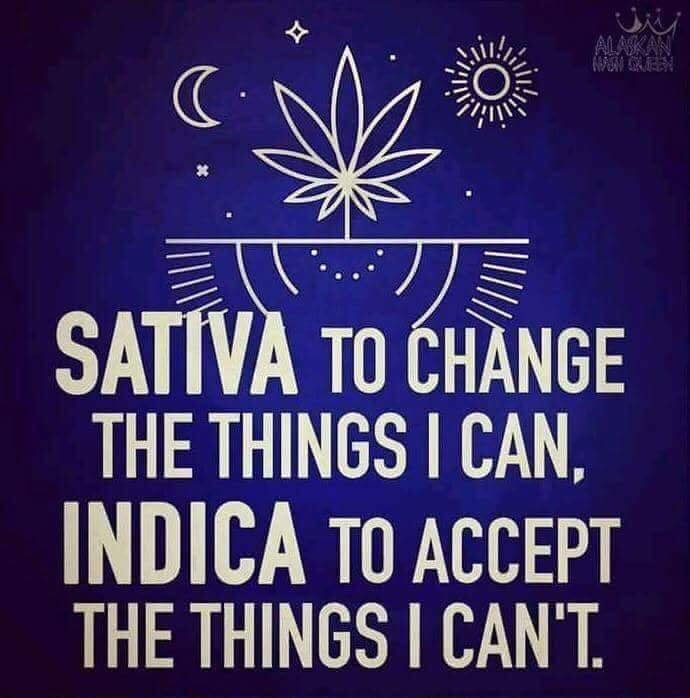 cannabis-meme-sativa-indica
