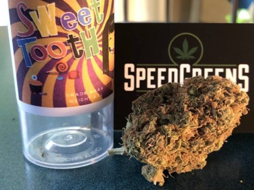 speed-greens-strain-review-sweet-tooth-gallery-7