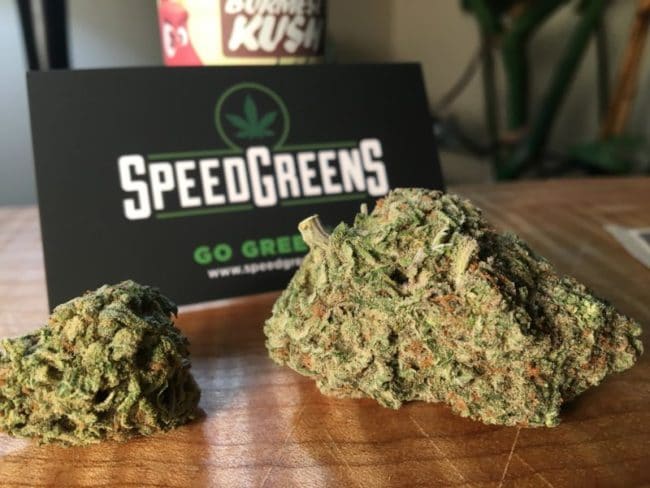 speedgreens-tcb-burmese-kush-gallery-4