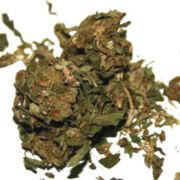 Weed-Grading-System-Canada-A-Grade-Cannabis