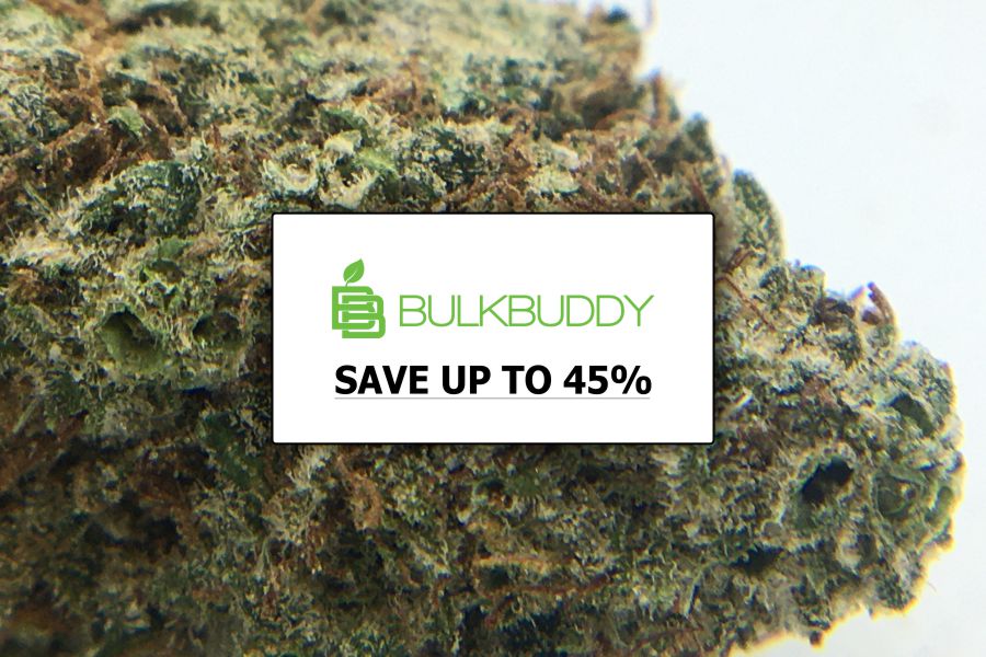 Bulk Buddy Review, the Best $99 Ounces Canada
