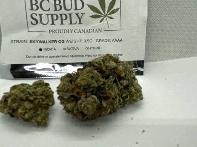 Skywalker OG Strain Review And Information - The Chronic Beaver