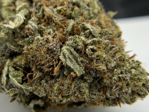 the-canna-society-black-diamond-strain-macro