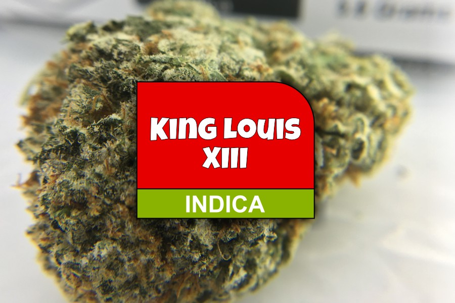 King Louis XIII Strain Review Feature 
