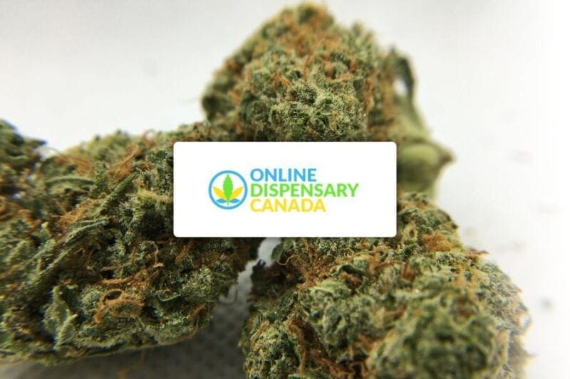 online dispensary