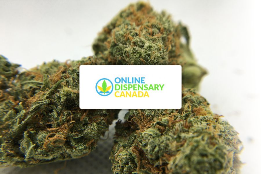 Online Dispensary Canada Reviews and Ratings