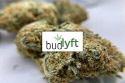 Budlyft Review & Unboxing