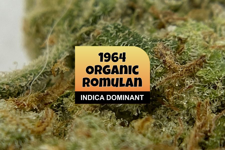 1964 Organic Romulan Review