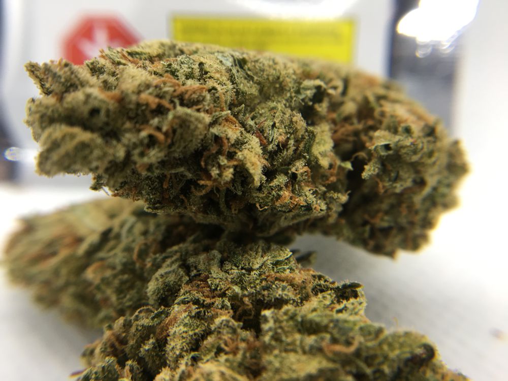 Citrus Skunk Strain Review & Ratings