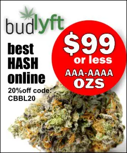 #1 Best Same Day Weed Delivery Surrey - Budlyft