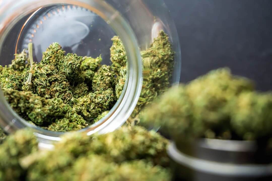 Popcorn Buds FAQ Guide