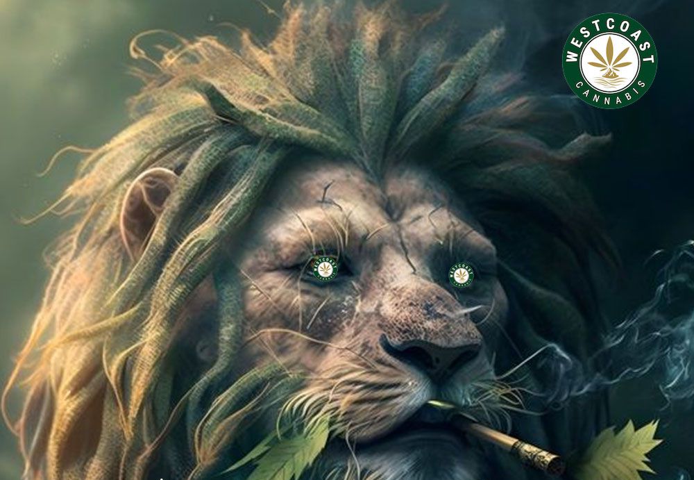 What Makes West Coast Cannabis the Most Trusted Online Weed Store? What Makes West Coast Cannabis the Most Trusted Online Weed Store?